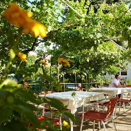 Weingut Pension Sommerhof Mörbisch am See Exterior foto